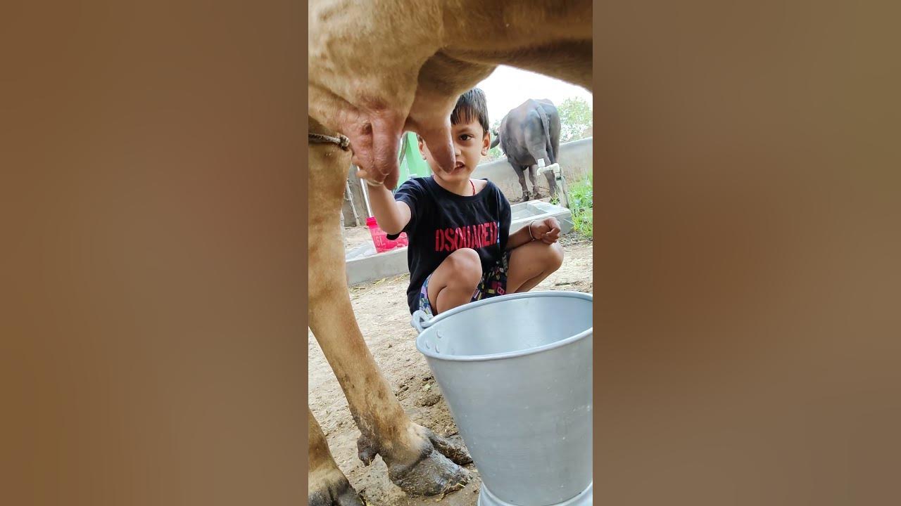 choti choti gaiya gtttyt hggfy #love #song #funny