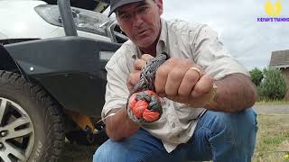 4wd Soft vs traditional shackle screenshot 3