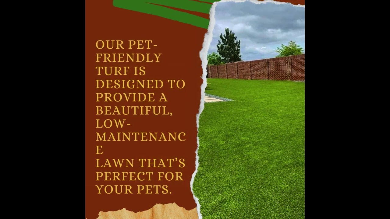 Tired of muddy paws and torn-up grass?