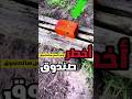 رجل يجد اخطر صندوق موجود في وسط الغابة   اكسبلور 