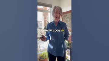 Recreating songs from brain activity