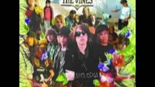 The Vines - A.S 3