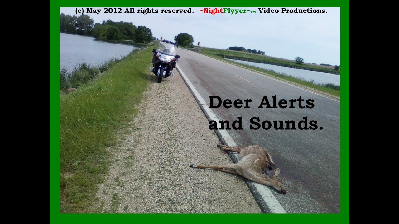 Do Deer Alerts Work Ride Along And Hear YouTube do-deer-alerts-work-ride-along-and-hear-youtube