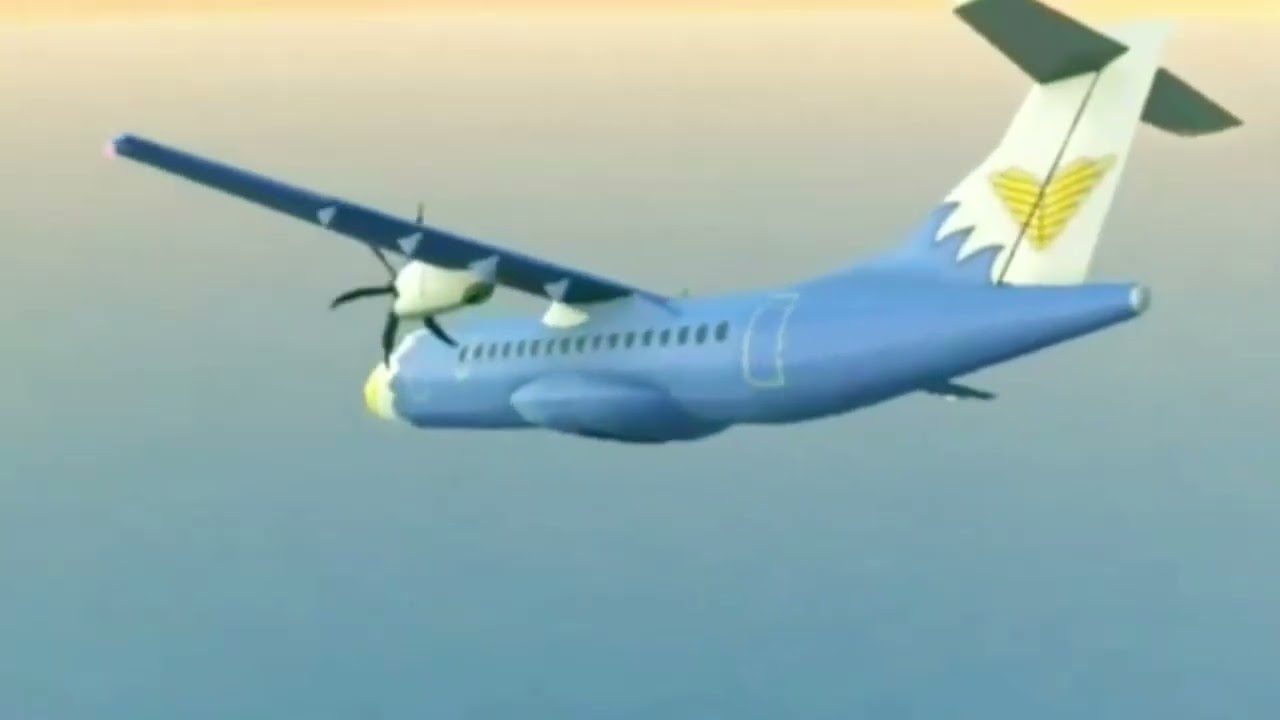 SkyBird Transportation Services Flight 4828 - Crash Animation || From WanG