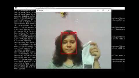 Face Mask Detector Model Implementation in real time video streaming