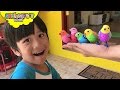 Searching for BIRDS in our house - Little Live Pets Bird toys for kids singing and tweeting