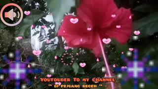 TAK PARTAJEH ™LAGU MADURA TERBARU : TAHUN 2024
