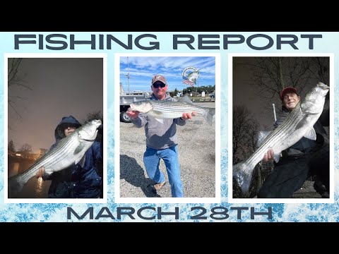 New Jersey Fishing Report March 28th #fishingreport #surffishing #stripers