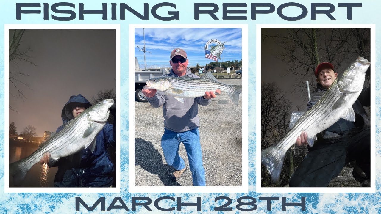 New Jersey Fishing Report March 28th #fishingreport #surffishing #stripers  