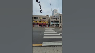 신호대기중  #여행 #신호등 #횡단보도