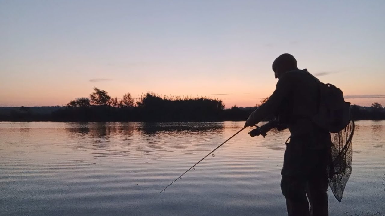 2025 ATTACCHI LIVE TOP WATER E NON SOLO BASS TEVERINI #bigbass #fishing #fishinglife