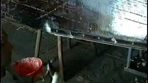 Quali sono gli elementi strutturali trasversali di uno scafo in legno?