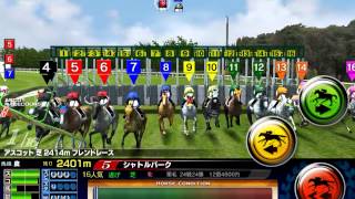 DOC FR YouTube大会 英アスコット2,414m芝 予選グループB 2015/1/15