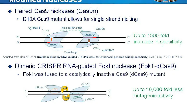 Design high specificity CRISPR Cas9 gRNAs  principles and tools