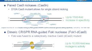 Design high specificity CRISPR Cas9 gRNAs  principles and tools