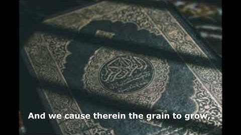 Surah 'Abasa by Saud Al-Shuraym with English subtitles.سورة عبس لسعود الشريم مترجمة إلى الإنجليزية