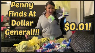 Penny Finds At Dollar General!!!11-17-2020 by SierraLeeSunshine 448 views 3 years ago 5 minutes, 23 seconds