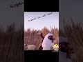 أضحية العيد عند السعودية
