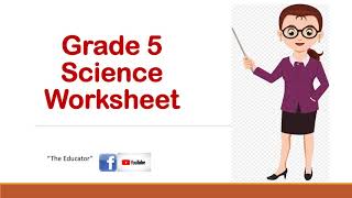 GRADE 5 SCIENCE WORKSHEET PART 8