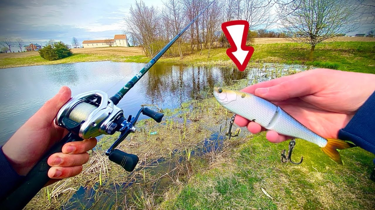 Catching BIG PRESPAWN BASS! (Big Swimbait Fishing)