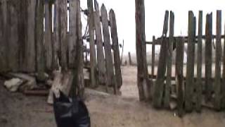 Harvest for the Hungry - Moldova, Eastern Europe 2008