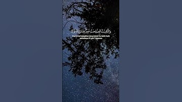 سورة مريم#AlQuran   #QuranicTale