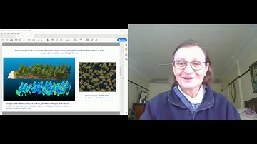 Dr Christine Stone talks about applications of satellite imagery in the forestry industry