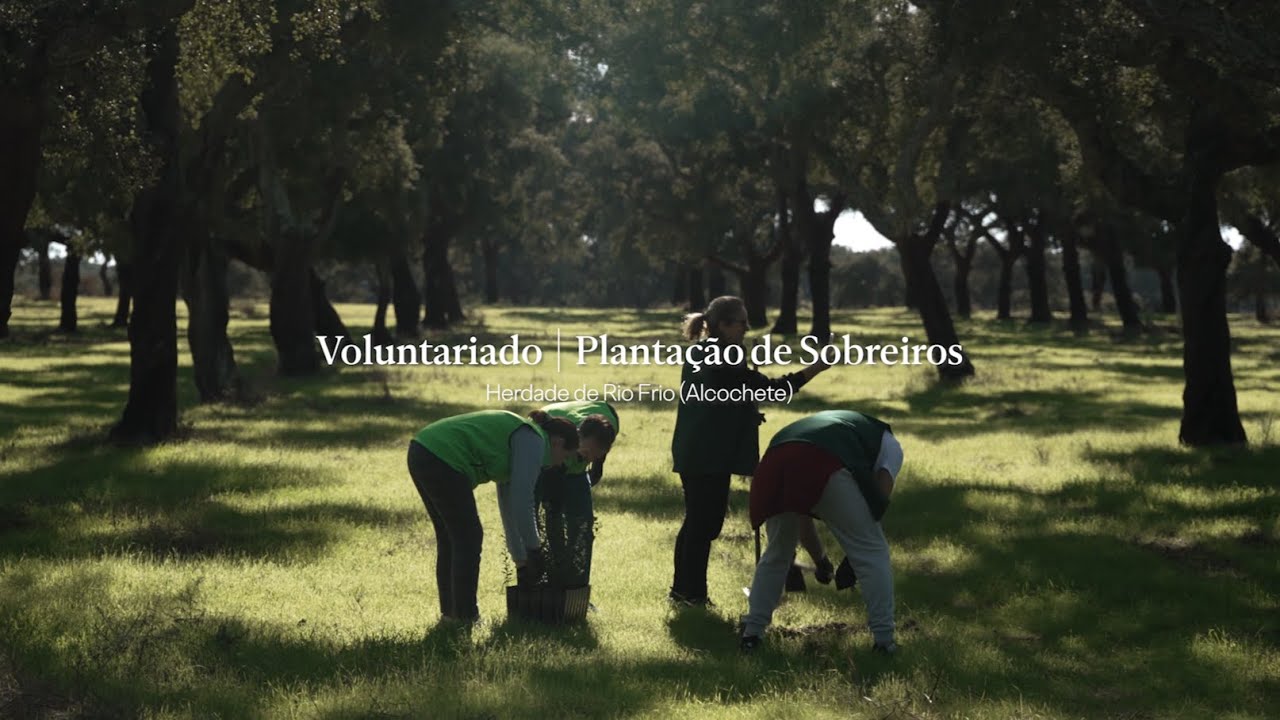 Plantação 2025 | Voluntariado