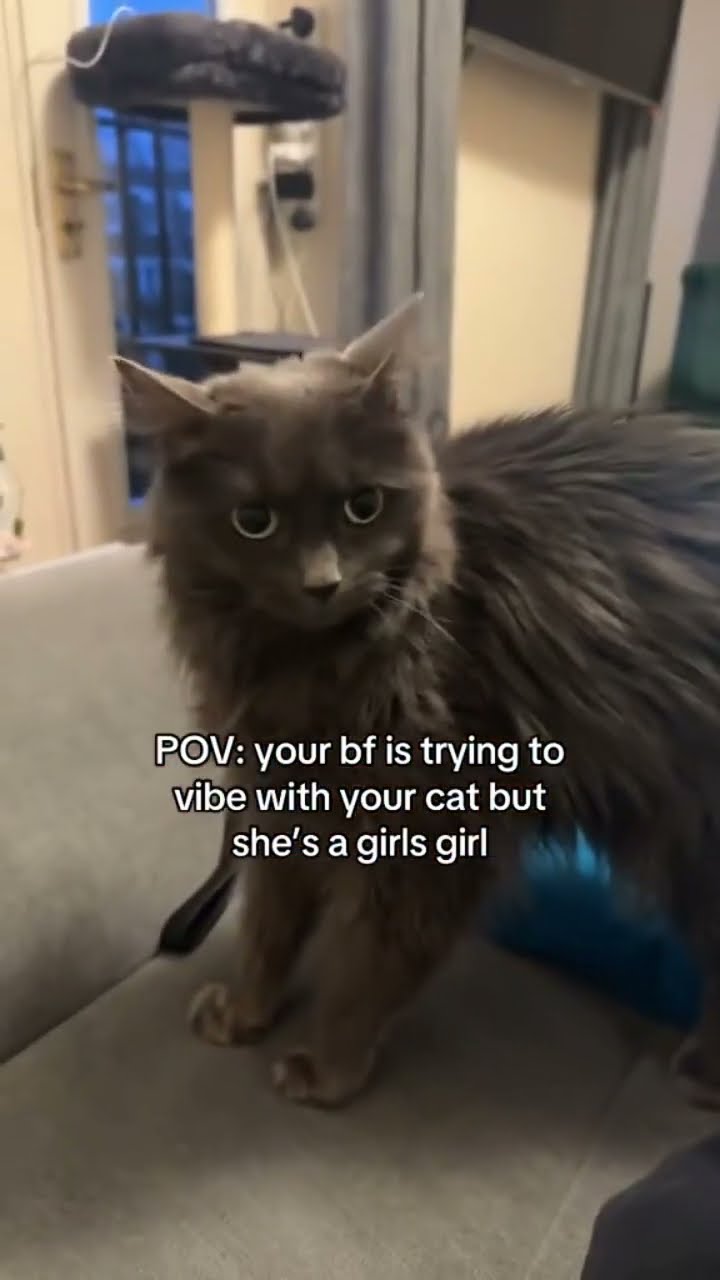 Prvnci sharing a post for the girl Kittyo lovers like don’t touch my girls girl