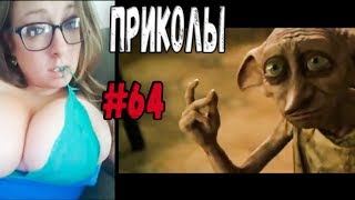 #ПРИКОЛЫ за Июль 2018 | BEST COUB 2018 ▶ 64 #ПРИКОЛЫ за Июль 2018 | BEST COUB 2018 ▶ 64