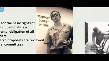 Research Methods Part 3