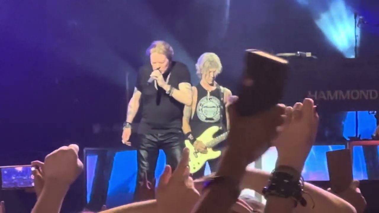 maxresdefault.jpg?sqp=-