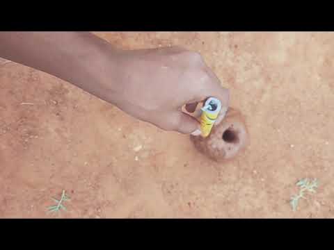 Firecracker expirement in wet mud