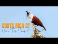 Costa rica birding with a camera bwc custom tour 2023 trip report full