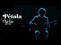 Djavan - Pétala - versão do DVD Ária ao Vivo