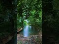 Sons da Cachoeira para Dormir Profundamente #relaxamento #naturalsounds #shorts