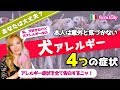 【知ってた？】犬アレルギーになると出る症状4選！