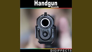Two Rapid Shots From .357 Magnum Colt Python Revolver