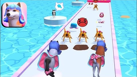 Groomer Run 3D 🐕🐶🦮🐕‍🦺Games All Levels Gameplay Android,Walkthrough ios,New Game Big Update Levels.