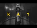 Montage of Ray &mdash; Fragments of Genius, Shadows of Desire