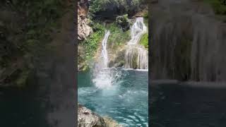 فاز بالملذات من كان جسورا