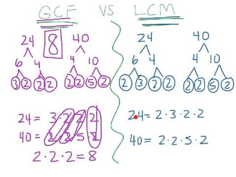 Video: Differenza Tra GCF E LCM