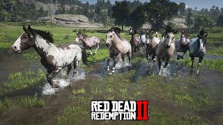 MIGRAÇÃO DE CAVALOS DA RAÇA CRIOULO - Viajando o MAPA DE PONTA A PONTA - Red Dead Redemption 2 screenshot 1