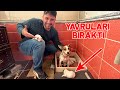 Jack Russell Köpeğimiz Hera İlk Kez Yavrularını Bırakıp Bahçeye Çıktı