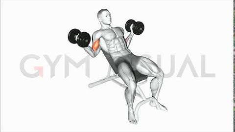 Dumbbell Incline Inner Biceps Curl