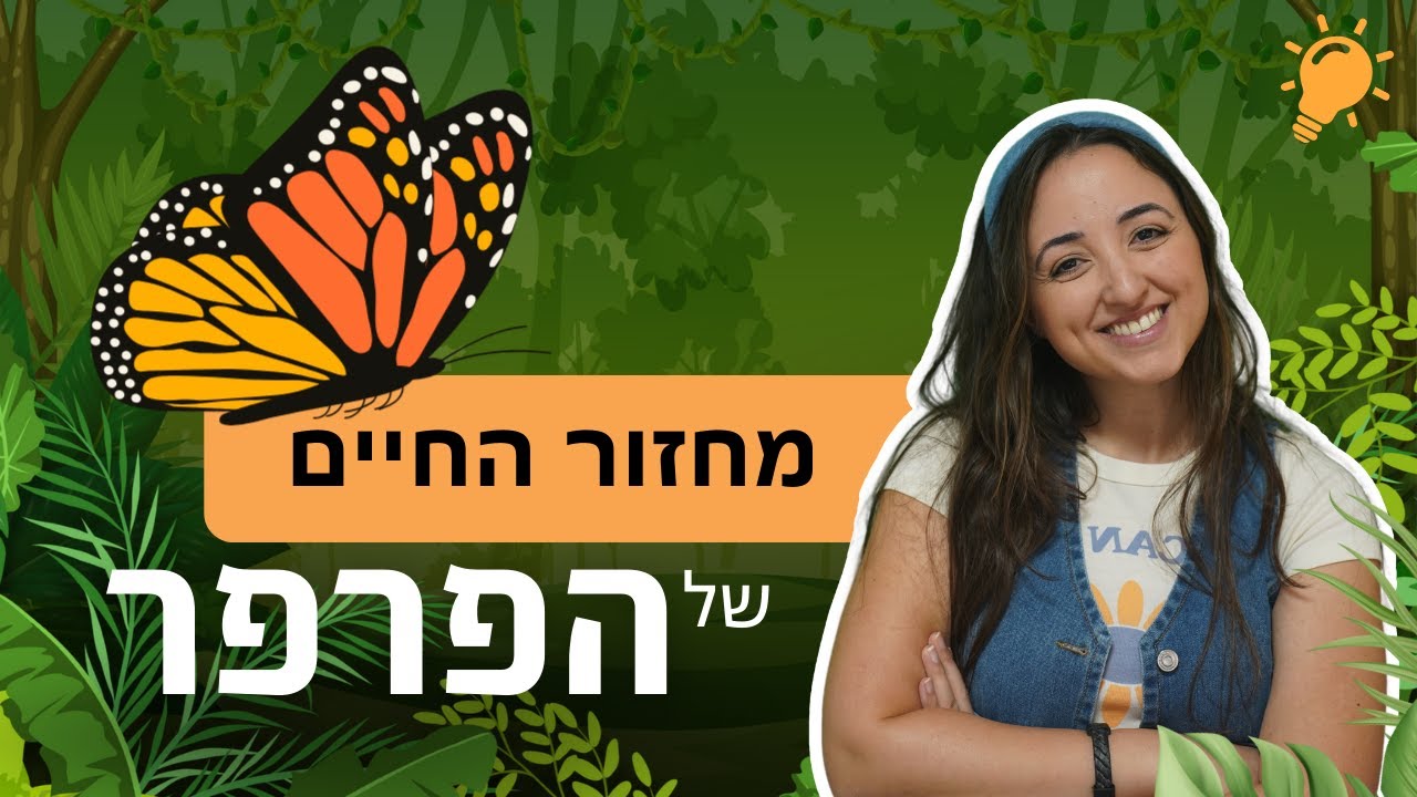 מחזור החיים של הפרפר 🐛🦋 - בואו לגלות את הקסם | תכנים לילדים - YouTube