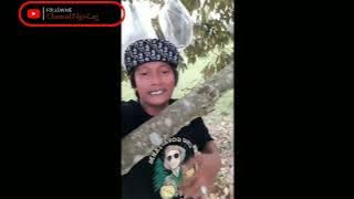 Dikasih Info Maseeh-mentahan full