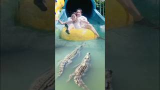 ANEH!! Buaya menghadang orang sedang prosotan di kolam renang #shorts #funny #animals #girl #scary