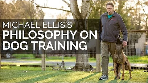 Michael Ellis' Philosophy of Dog Training - DayDayNews