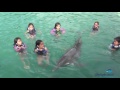 Nadando con delfines en Cancún